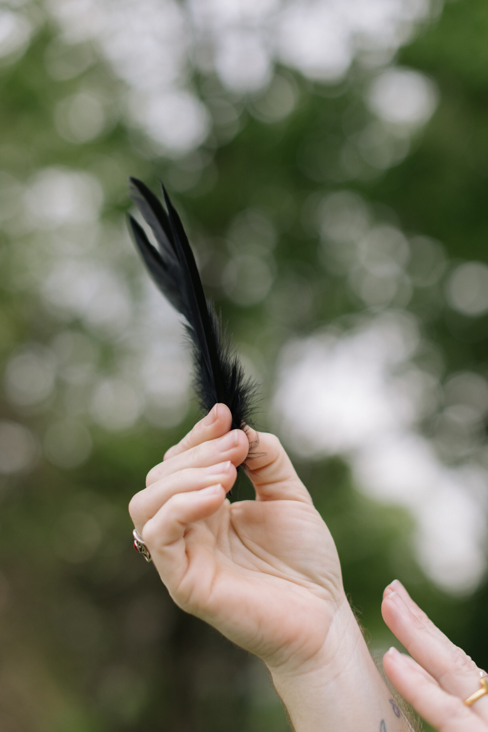 A hand holds a single black raven feather lightly, ready to release it. The background is soft green, blurred leaves.